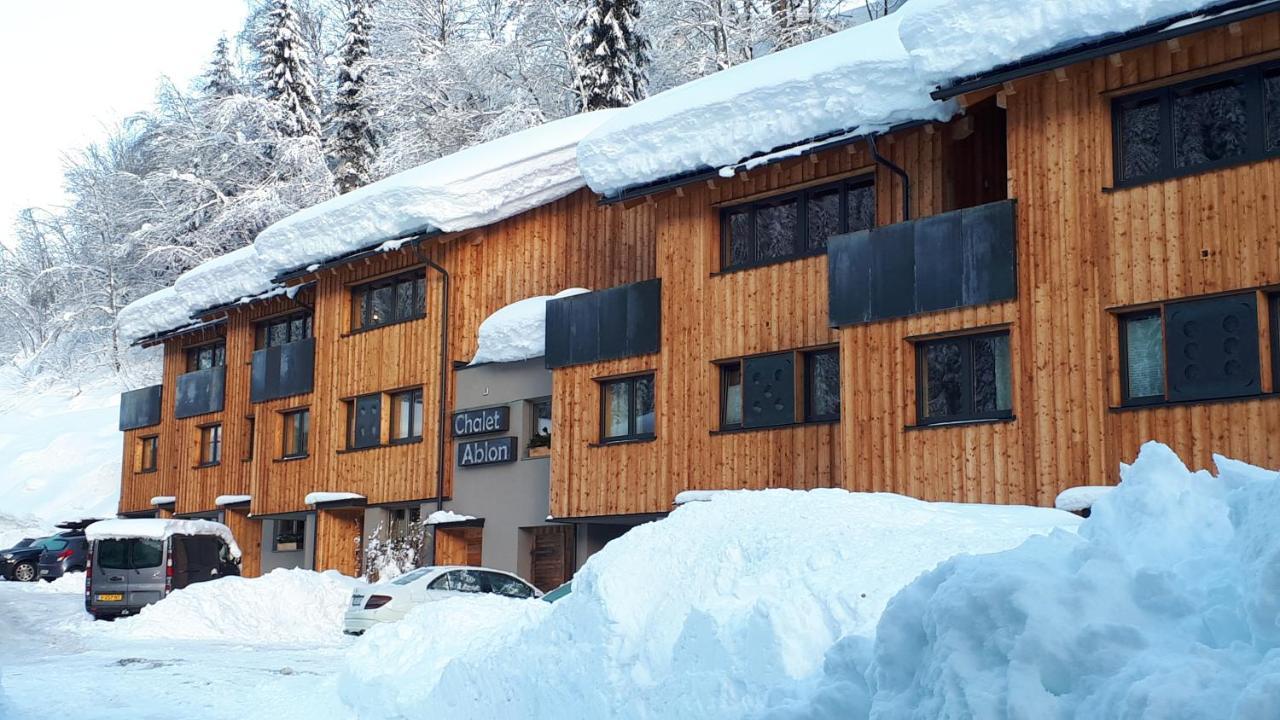 Chalet Ablon 萨尔巴赫 外观 照片